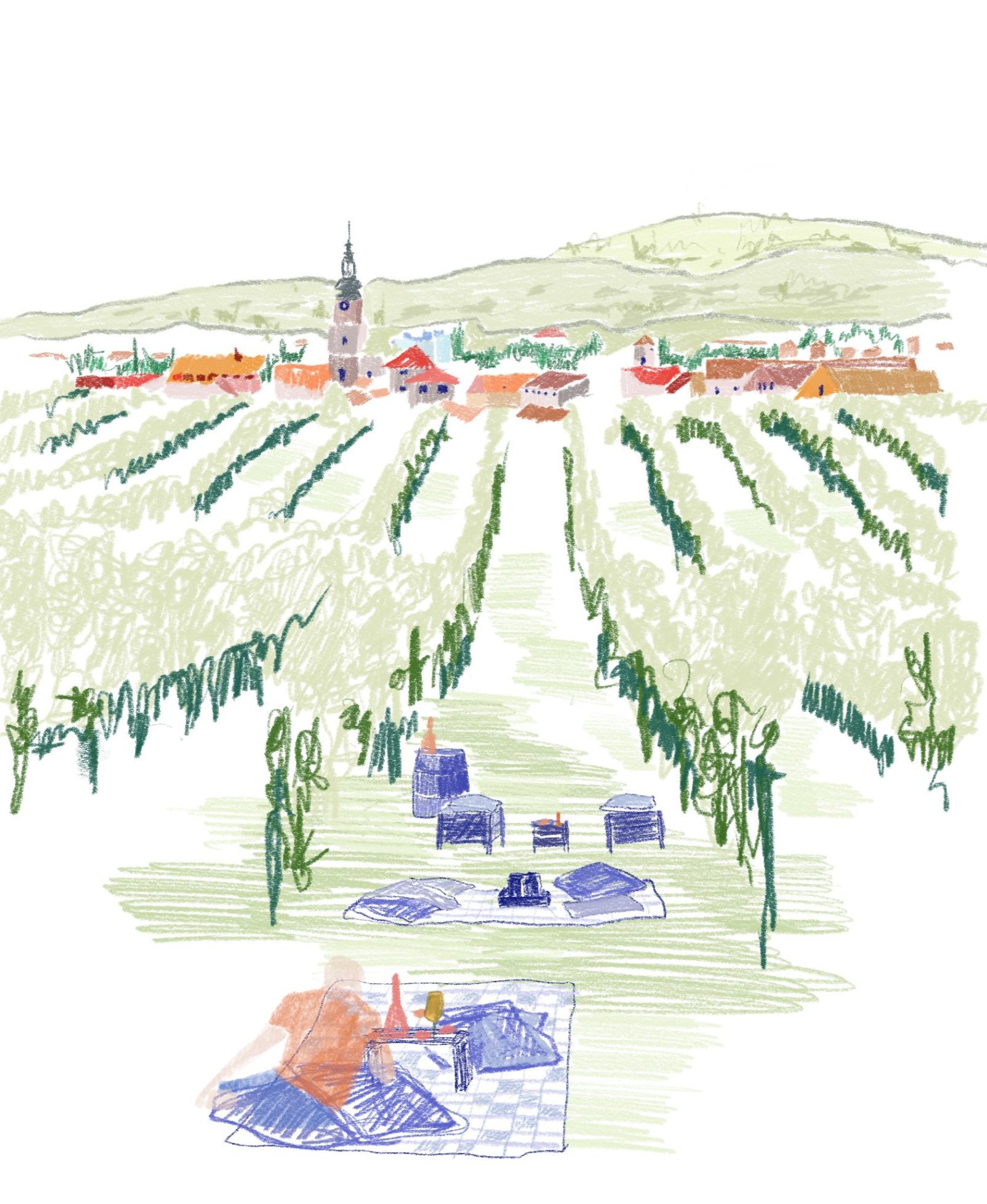 Hand-drawn illustration of a picnic between vineyard rows, a village on the horizon
